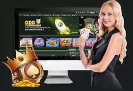 982bet